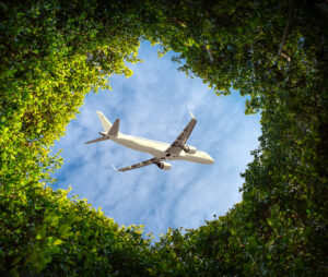 Eco-friendly transportation strategies to Reduce Your Carbon Footprint When Traveling