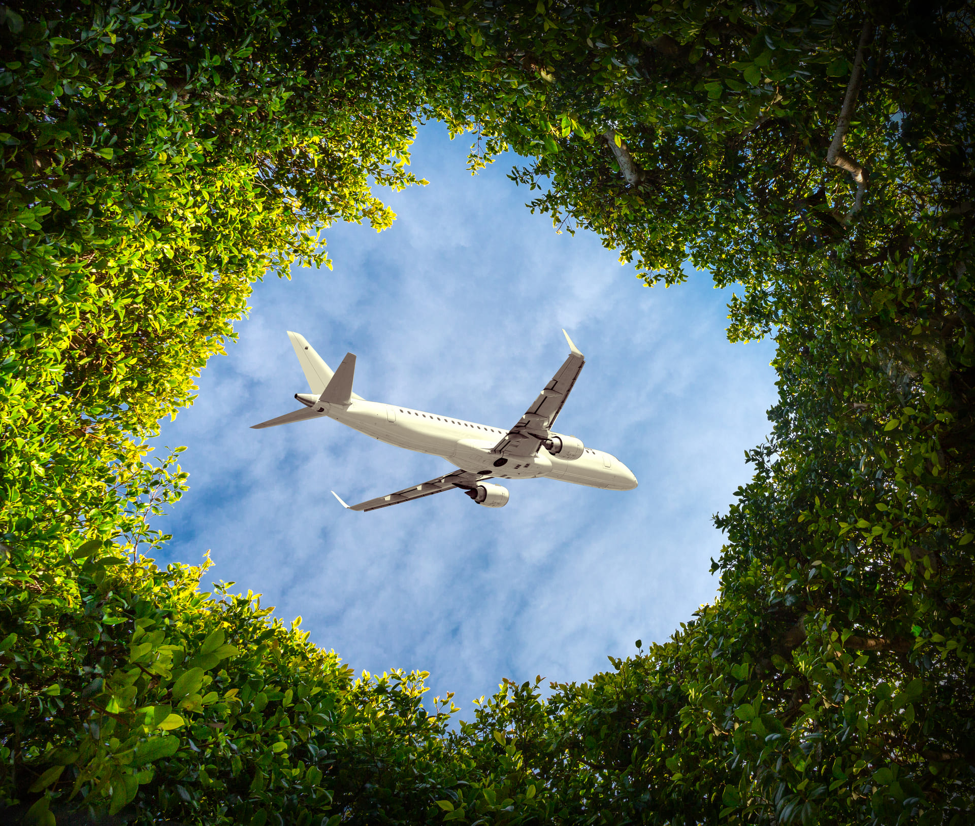 Eco-friendly transportation strategies to Reduce Your Carbon Footprint When Traveling